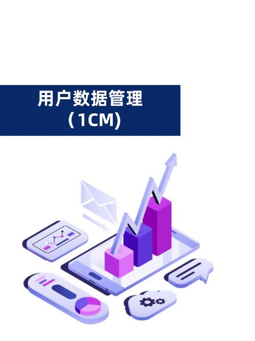 小数据研究中心:2021年小数据战略白皮书